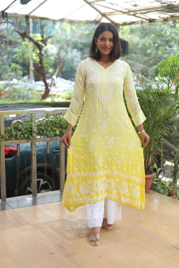 Inaya Premium Muslin 3D Chikankari Gown